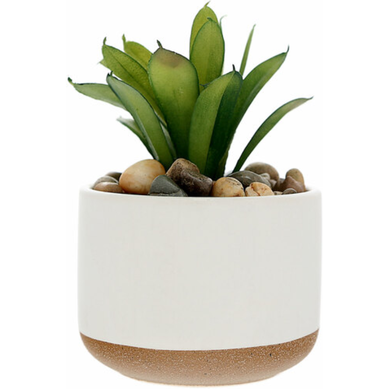 Pavilion 5" Artificial Potted Plant - Blessed