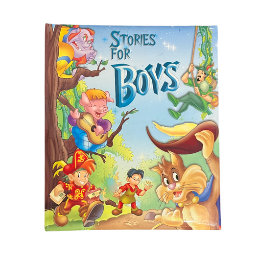 Winners Stories for Boys Storybook