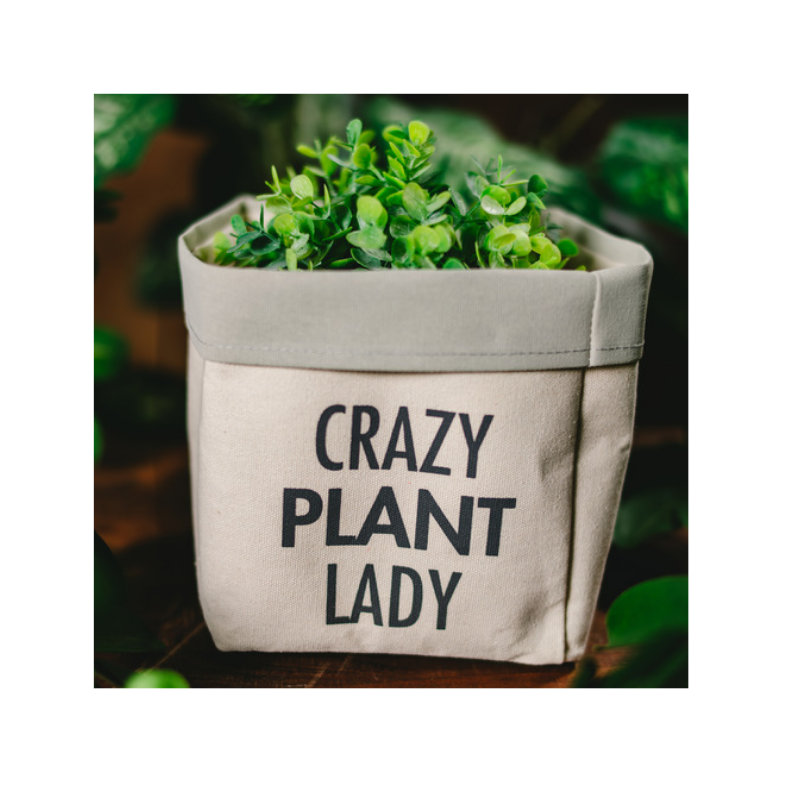 Pavilion 6" Canvas Planter Cover - Crazy Plant Lady