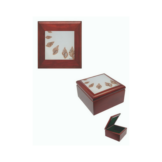 Ysharda Clement – Tile Keepsake Box – Seashells