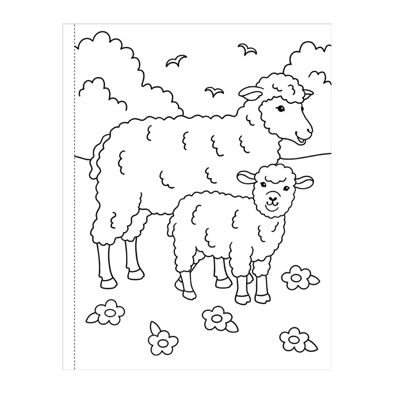 Peter Pauper My First Colouring Book - On the Farm