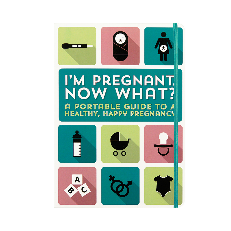 Peter Pauper "I'm Pregnant, Now What?" Logbook