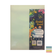 Load image into Gallery viewer, BriCha 180gsm Bristol Board (10 Sheets) - Assorted - 8.5&quot; x 11&quot;
