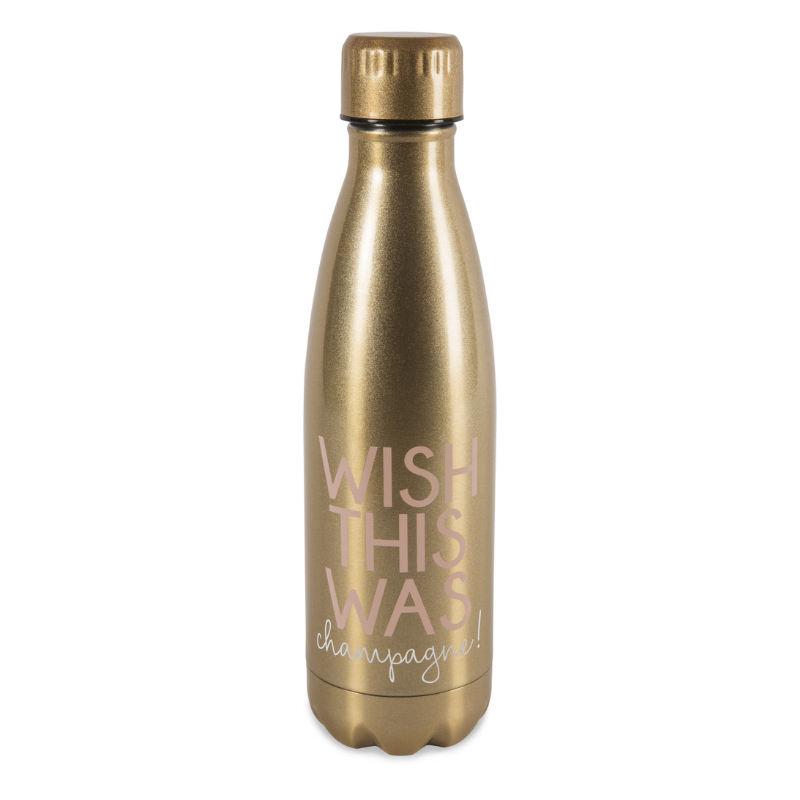 Pavilion 18oz Stainless Steel Water Bottle - Wish This Was Champagne