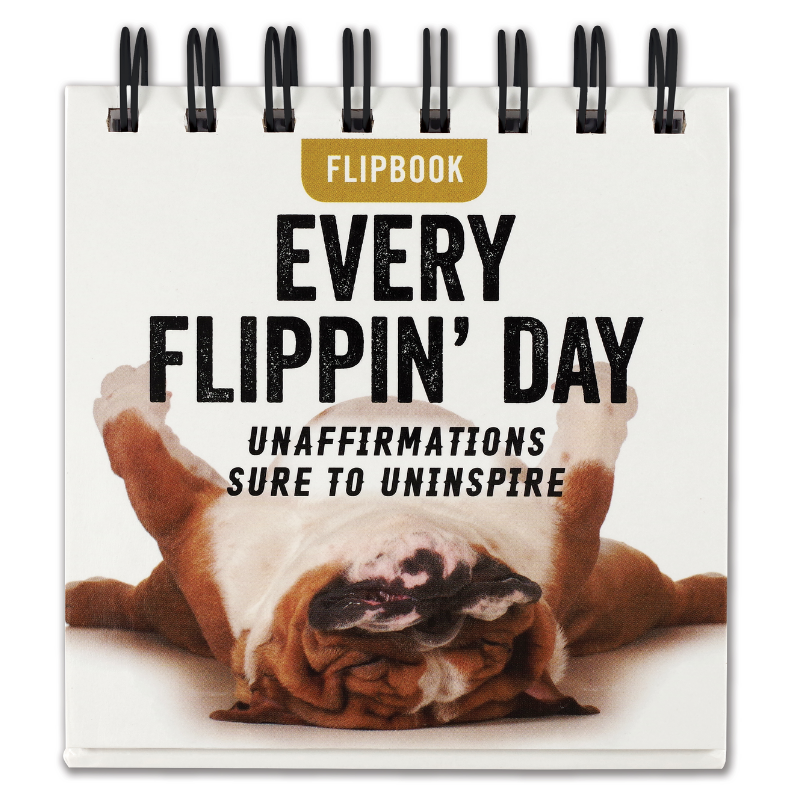 Peter Pauper Every Flippin' Day Desktop Flipbook