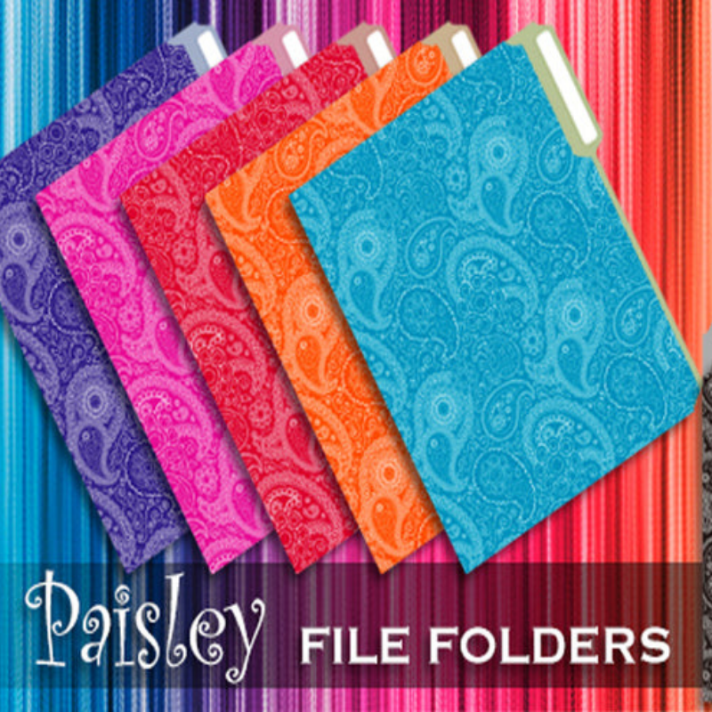 BAZIC Paisley 1/3 Cut Letter Size File Folder (3/Pack)