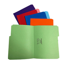 Load image into Gallery viewer, Pendaflex Letter Size File Folder - Assorted Colours
