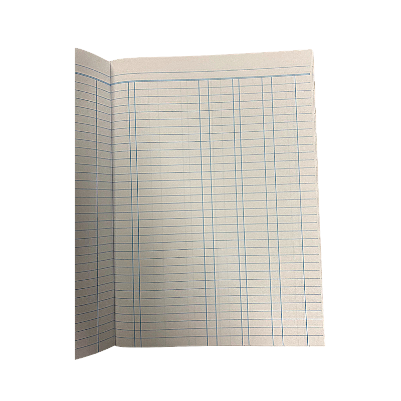 Scholar Student's Cash Book (20 Sheets)